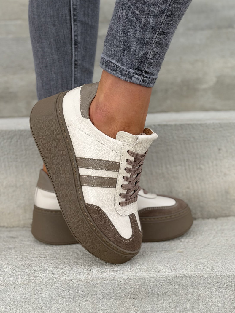 Trampki KAZADII CONTI BEIGE CHOCO skóra naturalna